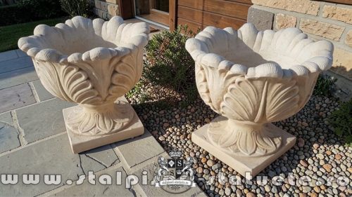 vaze și jardiniere livrare la domiciliu (4)